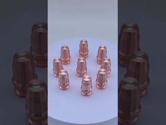 ΗΛΕΚΤΡΟΔΙΟ F006